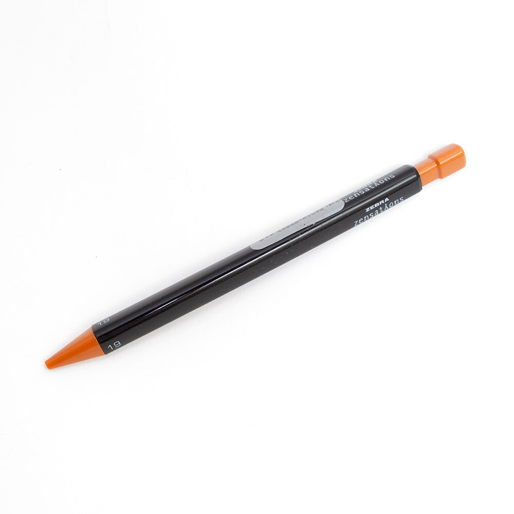 Zebra, Colored Pencils, Art & School, Zensations, 304783, Dark Brown